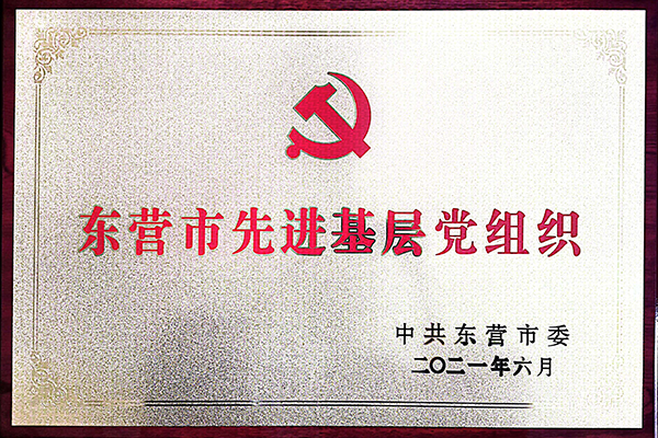 山东胜宏物业服务党支部获得“东营市先进基层党组织”称号